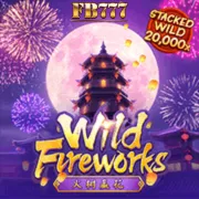 wild-fireworks